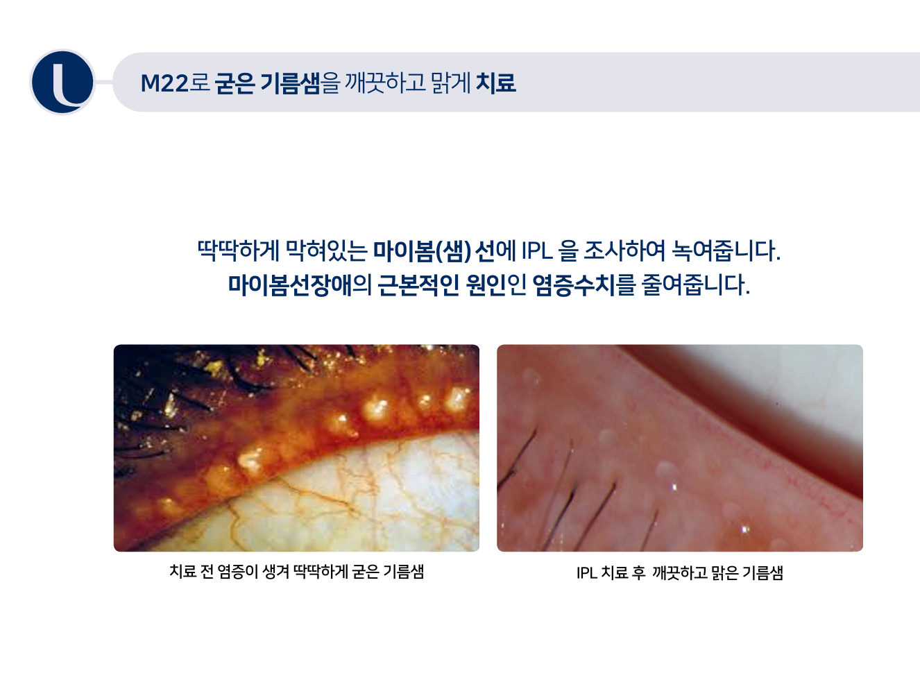 화면 캡처 2025-08-12 151652.png