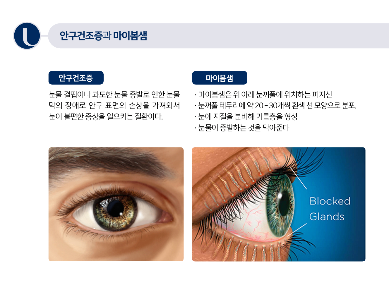 화면 캡처 2025-08-12 150603.png