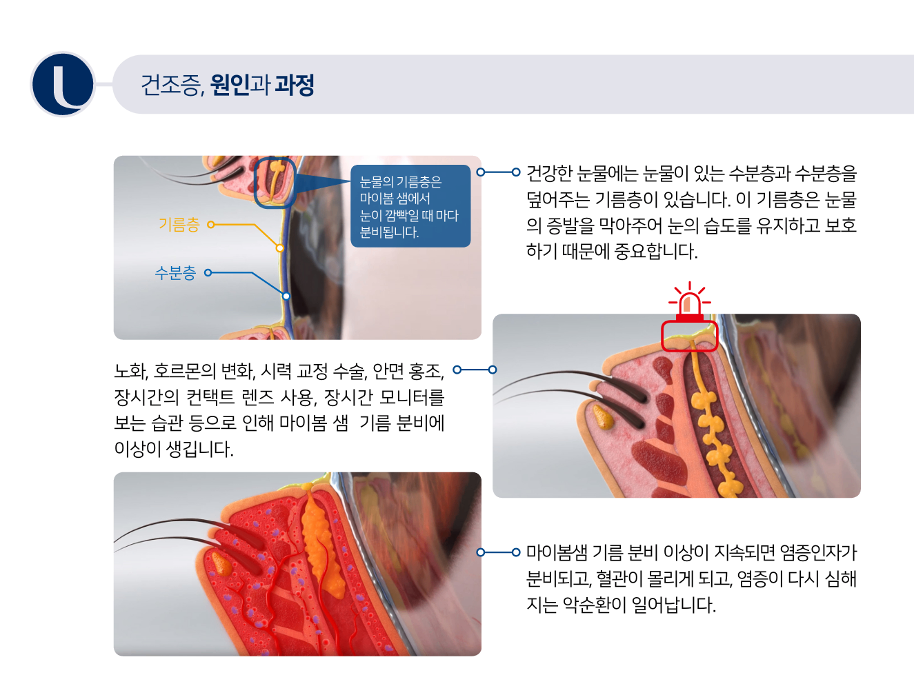 화면 캡처 2025-08-12 151245.png