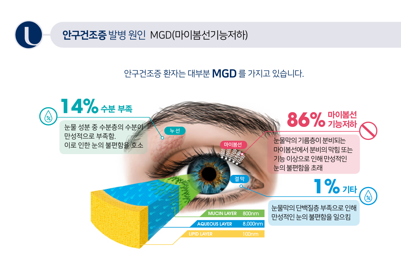 화면 캡처 2025-08-12 151209.png