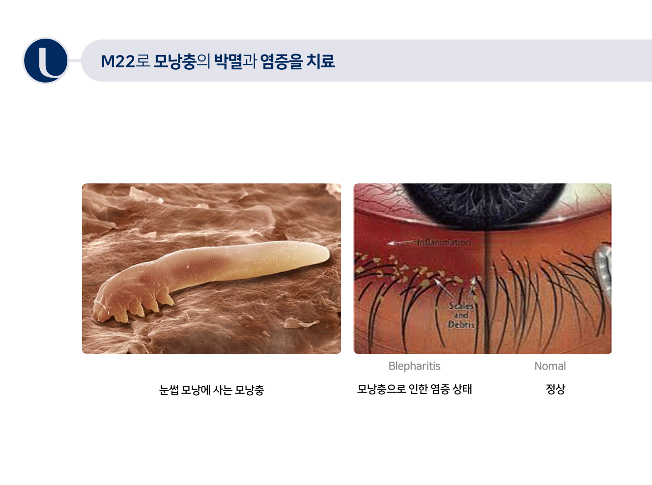 화면 캡처 2025-08-12 151724.png