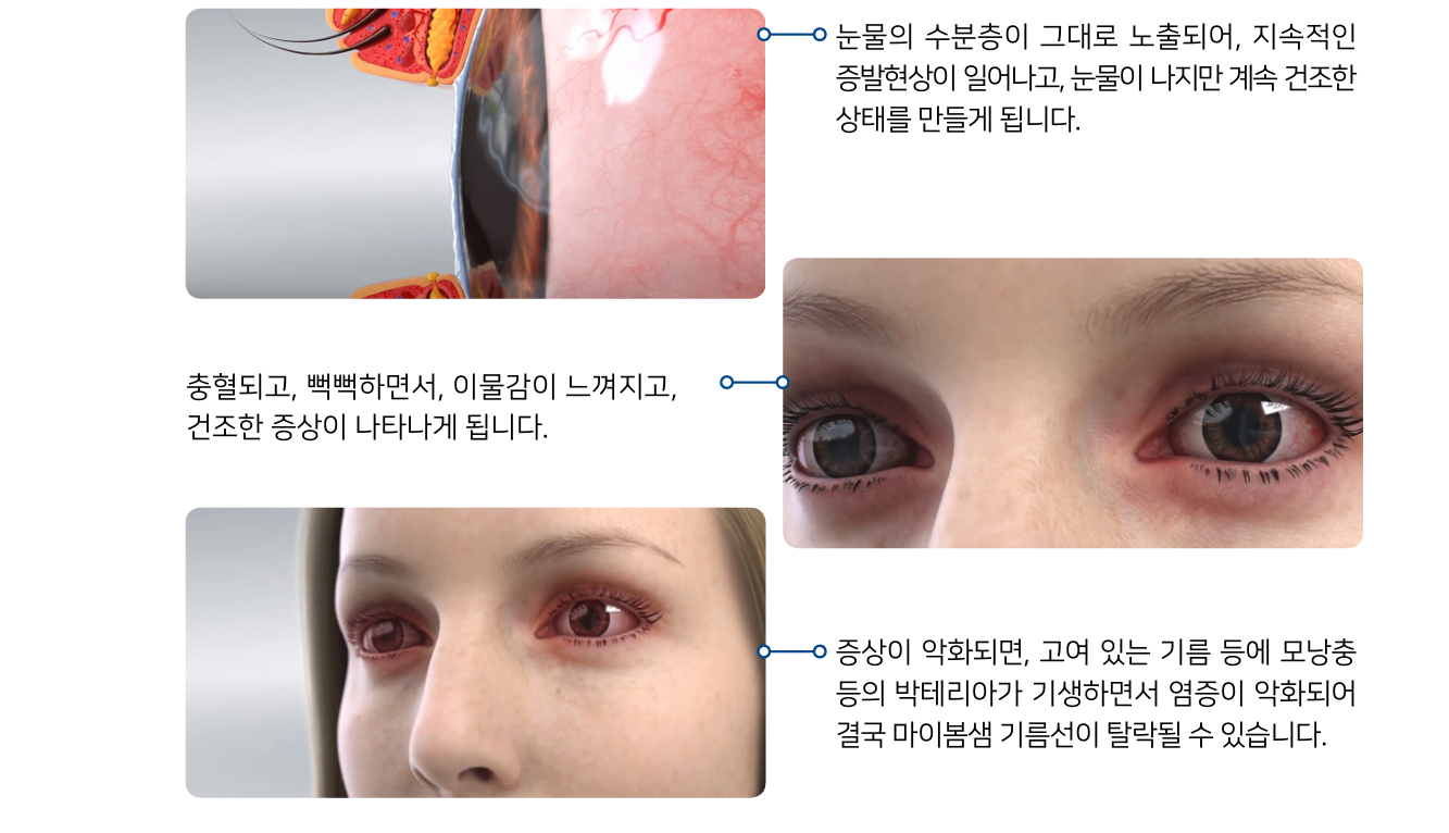 화면 캡처 2025-08-12 151325.png